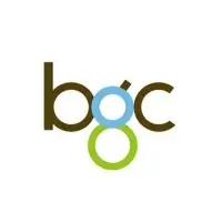 bgc_group_logo