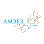 amber veterinary practice