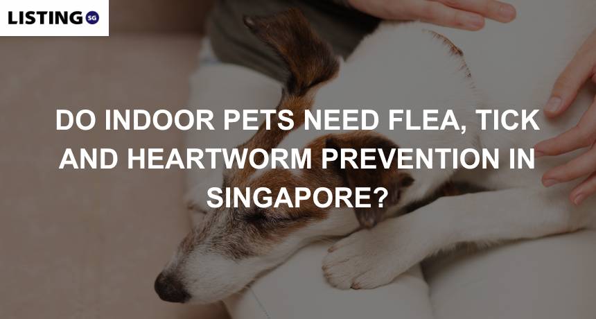 indoor pet heartworm and flea tick