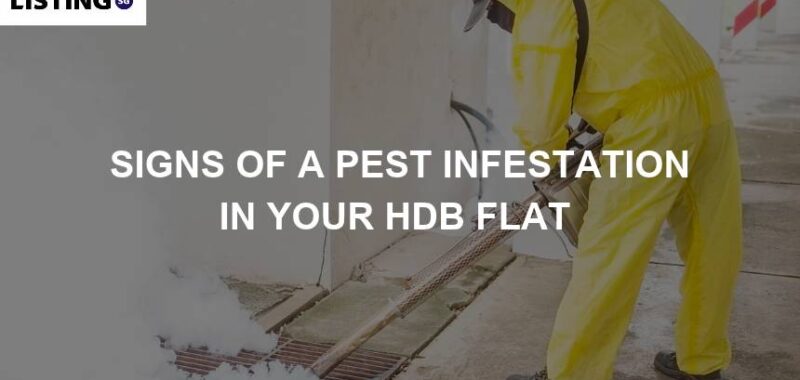 pest infestation signs in hdb flat