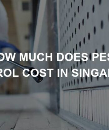 pest control cost in singapore