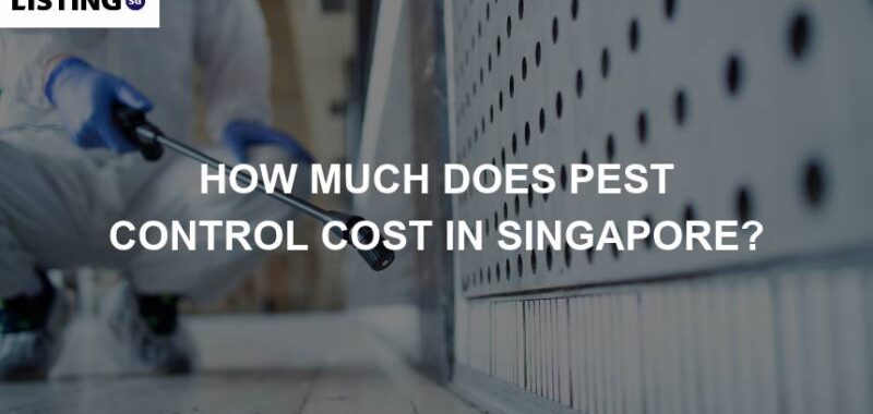 pest control cost in singapore